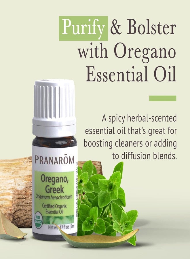 Pranarom - Oregano Essential Oil (5ml) - 100% Pure Natural Therapeutic Grade Essential Oil for Diffusing and Cleaning | USDA and ECOCERT Certified Organic - Image 2